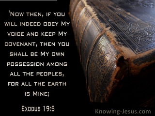 Exodus 19:5 If You Will Obey My Voice Then You Will Be My Possession (black)